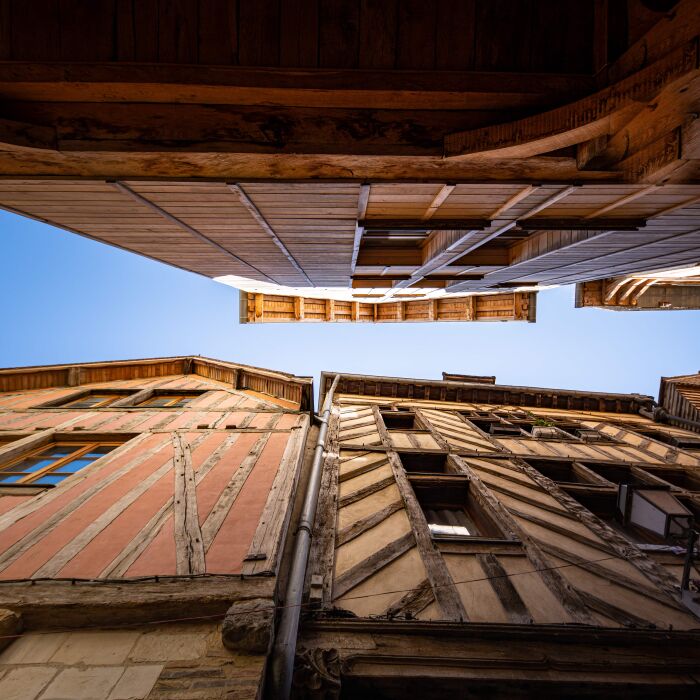 Ruelle des chats 3 - © Olivier Douard.jpg Olivier Douard