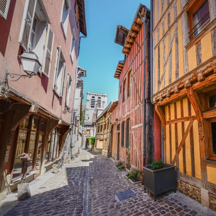 Ruelle des chats 2 - © Olivier Douard.jpg Olivier Douard