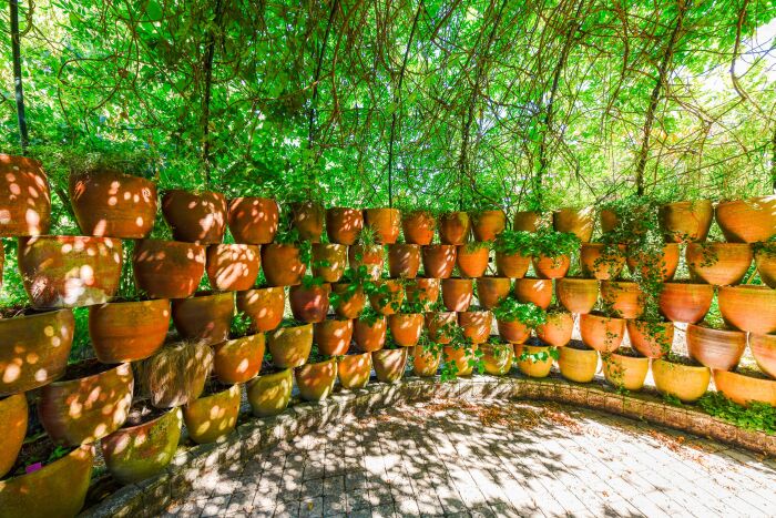 Jardin Botanique de Marnay-sur-Seine - © Olivier Douard.jpg Olivier Douard