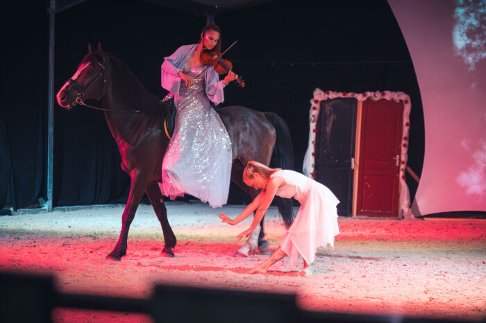 Théâtre équestre de Champagne 158 - © Le Bonheur des Gens.jpg Le Bonheur des Gens