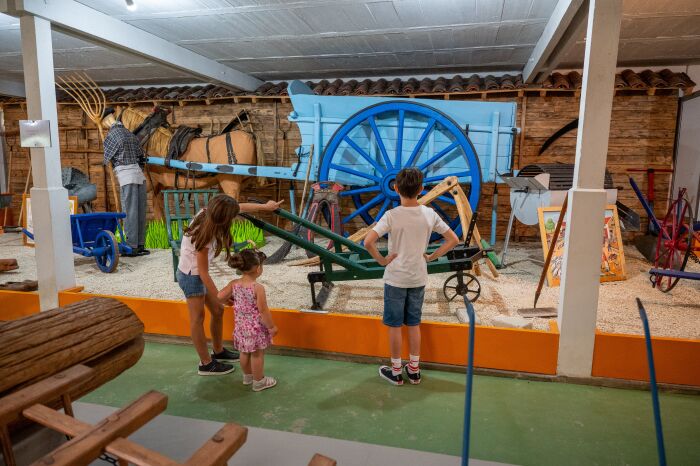 Ecomusée de la Forêt d'Orient 45 - © Olivier Douard.jpg Olivier Douard