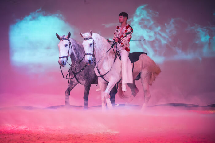 Théâtre équestre de Champagne 163 - © Le Bonheur des Gens.jpg Le Bonheur des Gens