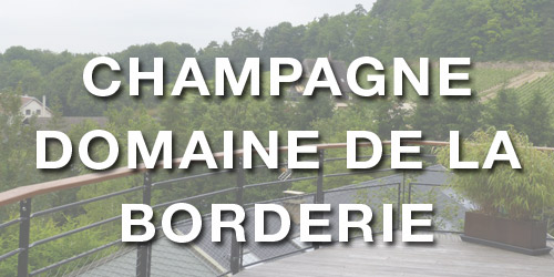 VIGNETTE-DE-LA-BORDERIE