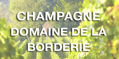 vignette-domaine-borderie